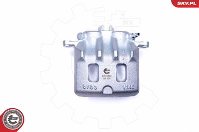 Brake Caliper 42SKV982