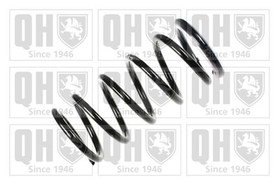 Пружина ходовой части QUINTON HAZELL QCS8024 для MITSUBISHI SPACE