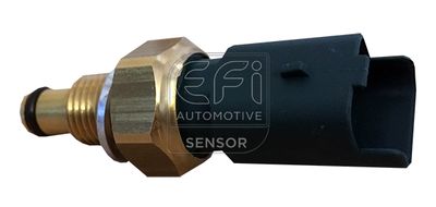 датчик, температура на горивото EFI AUTOMOTIVE 295138