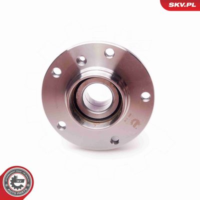 SET RULMENT ROATA ESEN SKV 29SKV016 2