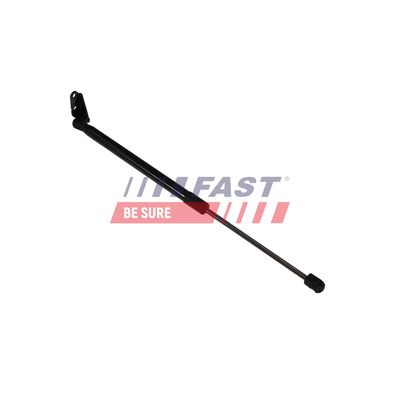 AMORTIZOR PORTBAGAJ FAST FT04421 10