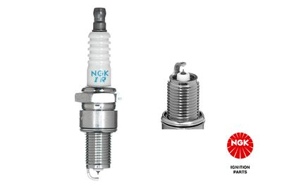 Spark Plug NGK 3106