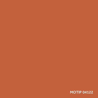 Temeljni premaz MOTIP 04122