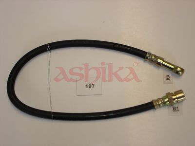 Halter, Bremsschlauch