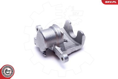 Brake Caliper 55SKV803