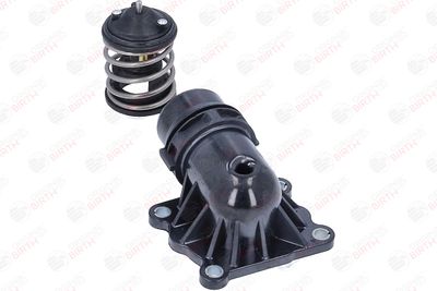 FLANSA LICHID RACIRE BIRTH 81102 9
