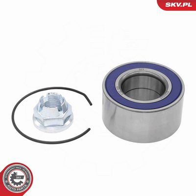 SET RULMENT ROATA ESEN SKV 85SKV005 1