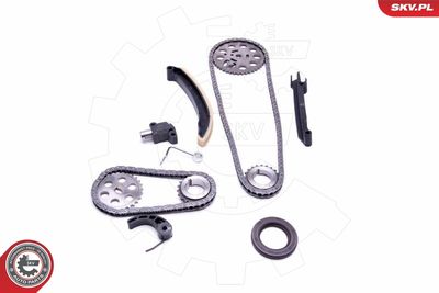 Timing Chain Kit 21SKV209