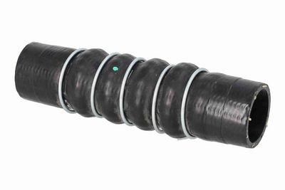 FURTUN EAR SUPRAALIMENTARE ACKOJA A269676 3