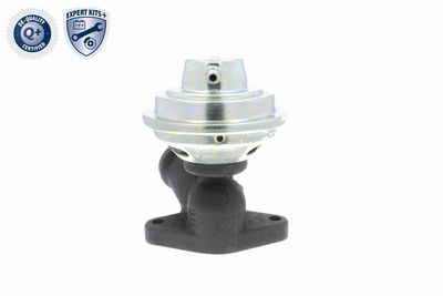 SUPAPA EGR VEMO V22630013 2