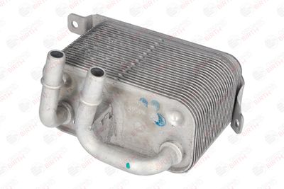 RADIATOR ULEI ULEI MOTOR BIRTH 80261 2