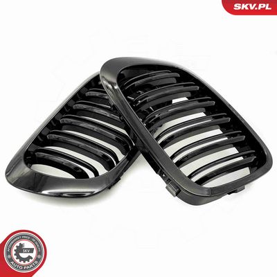 GRILA RADIATOR ESEN SKV 66SKV059 2