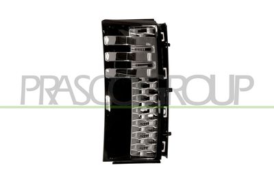 ELEMENTE DECORATIVE/PROTECTIE ARIPA PRASCO LR8641423