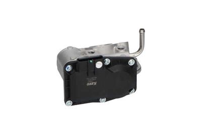 SUPAPA EGR Kavo Parts EEG8003 15