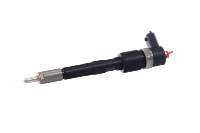 INJECTOR REMANTE 002003001717R 8