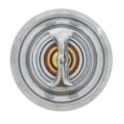 360 Grad Ansicht 55