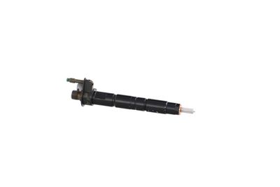 INJECTOR REMANTE 002003002194R 48