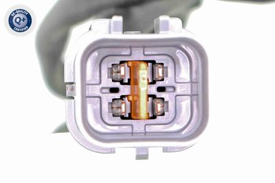 SONDA LAMBDA ACKOJA A53760012 1