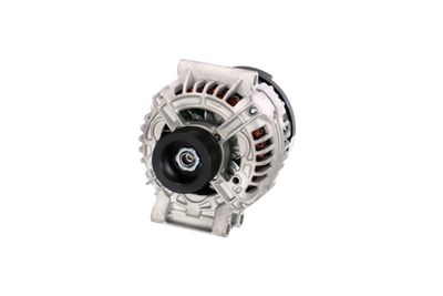 GENERATOR / ALTERNATOR REMANTE 011003000335R 65