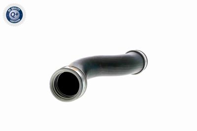 LADELUFTSCHLAUCH VAICO V102698 8