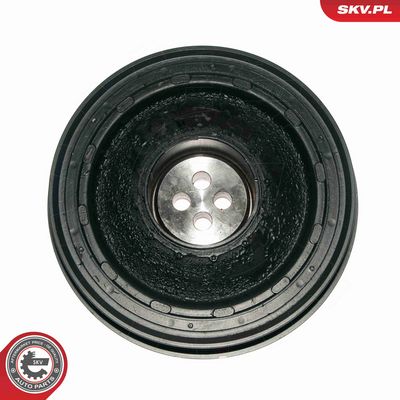 FULIE CUREA ARBORE COTIT ESEN SKV 95SKV317 1