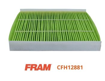 FRAM CFH12881