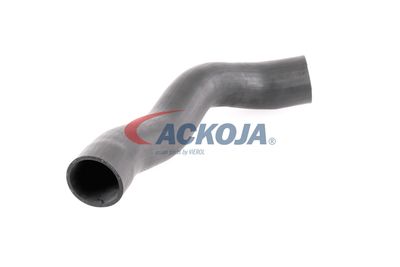 FURTUN EAR SUPRAALIMENTARE ACKOJA A379600 52