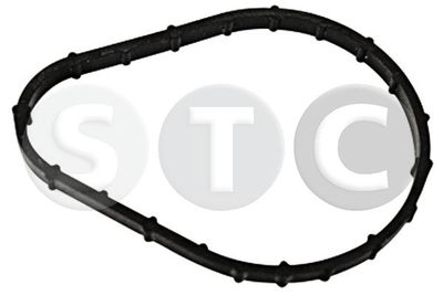 Uszczelka, termostat STC T442611