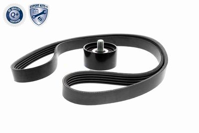 SET CUREA TRANSMISIE CU CANELURI ACKOJA A520515 4