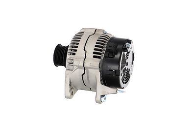 GENERATOR / ALTERNATOR REMANTE 011003000195R 17