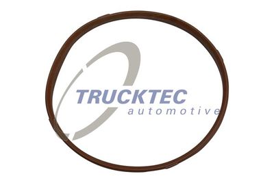 TRUCKTEC-AUTOMOTIVE 08.13.002 Прокладка впускного колектора 