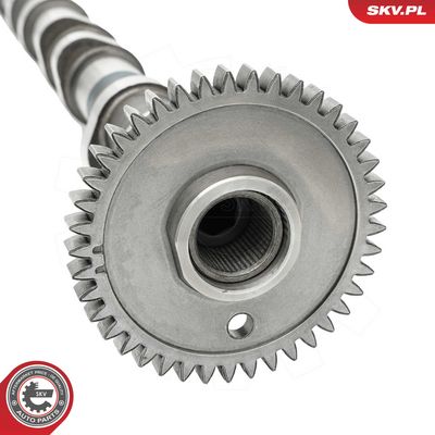 Vačkový hřídel ESEN SKV 80SKV013