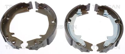 Zestaw szczęk hamulcowych, hamulec postojowy TRISCAN 8100 43016