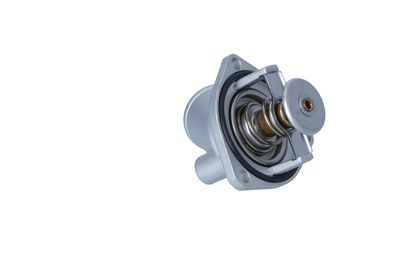 TERMOSTAT LICHID RACIRE NRF 725289 28