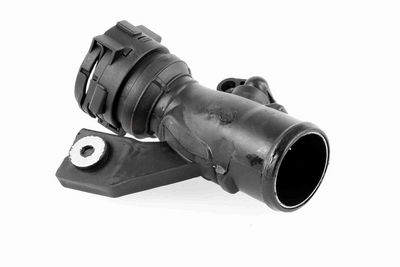 FURTUN EAR SUPRAALIMENTARE ACKOJA A380296 2