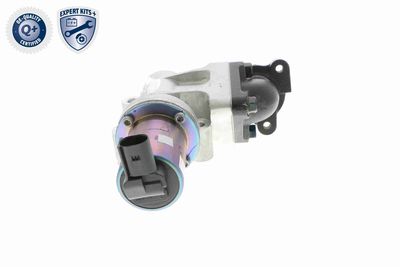 SUPAPA EGR ACKOJA A53630001 9