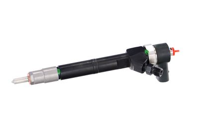 INJECTOR REMANTE 002003001108R 8