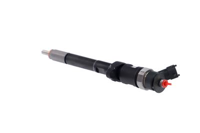 INJECTOR REMANTE 002003001727R 19