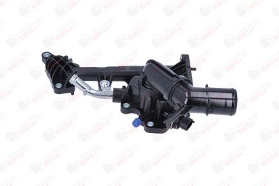 FLANSA LICHID RACIRE BIRTH 81085 2