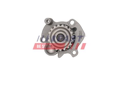 POMPă DE APă RăCIRE MOTOR FAST FT04462 2