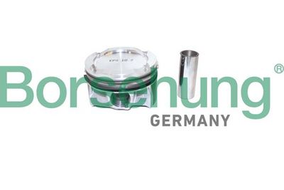 SET SEGMENTI PISTON Borsehung B11137