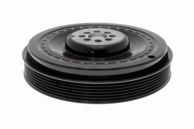 FULIE CUREA ARBORE COTIT VAICO V101492 2