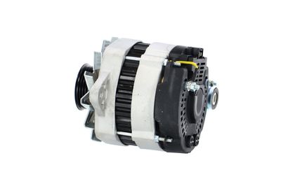 GENERATOR / ALTERNATOR REMANTE 011003000081R 19