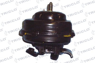 окачване, двигател TRICLO 363909
