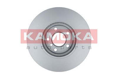 Brake Disc 103295