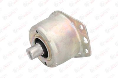 SUPORT MOTOR BIRTH 5720 3