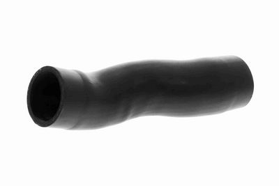 FURTUN EAR SUPRAALIMENTARE ACKOJA A529602