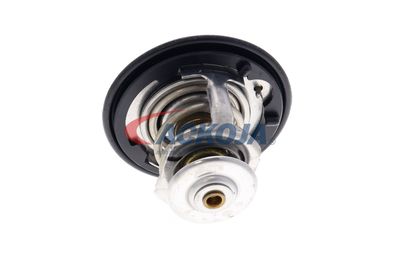 TERMOSTAT LICHID RACIRE ACKOJA A26990007 48