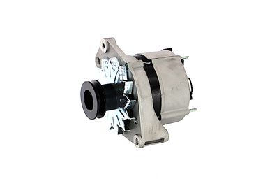 GENERATOR / ALTERNATOR REMANTE 011003000270R 7