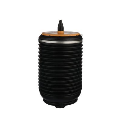 LUFTFEDER FAHRWERK Arnott A3891 20